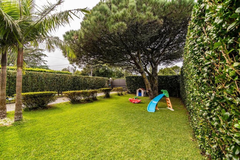 Apartamento Do Pinheiro São Vicente Ferreira المظهر الخارجي الصورة